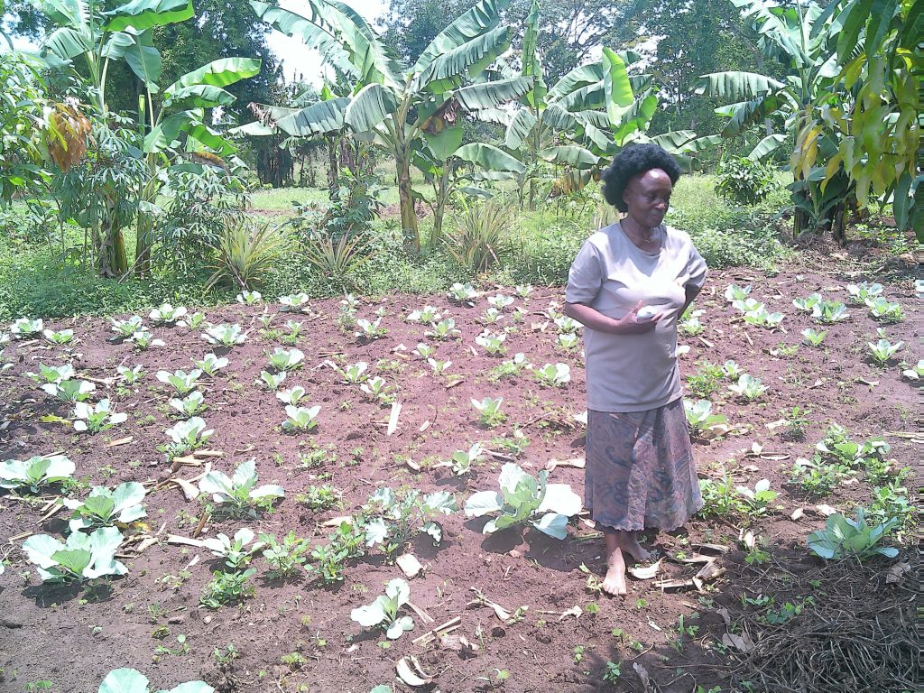 Improving food security Through Women Empowerment Programs